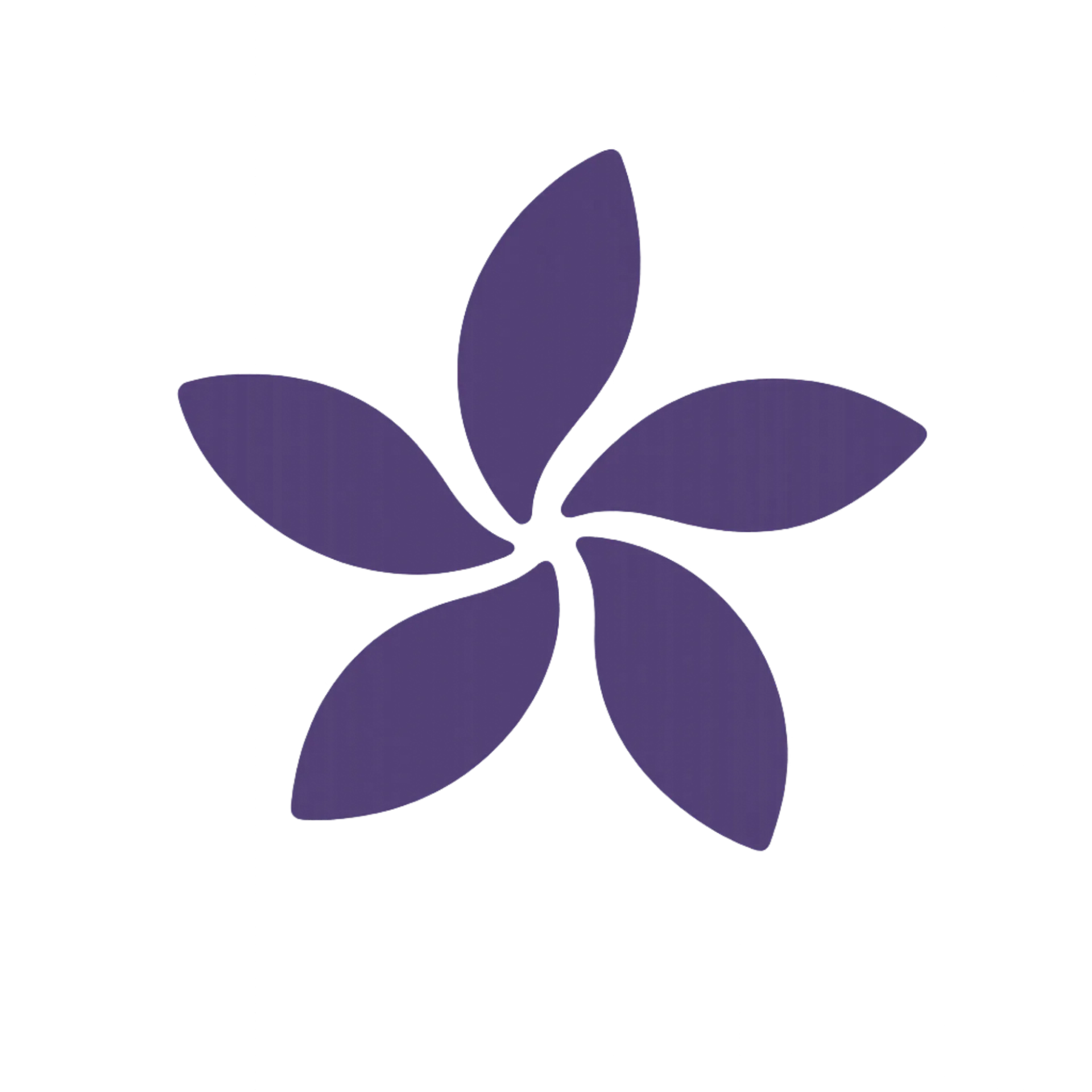 [LTH #2 - OPTION] 10. OPTION: “Visibility” package (news feature + interview available on our website for 1 year)
